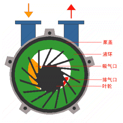 水环式真空泵/液环真空泵工作原理图.gif